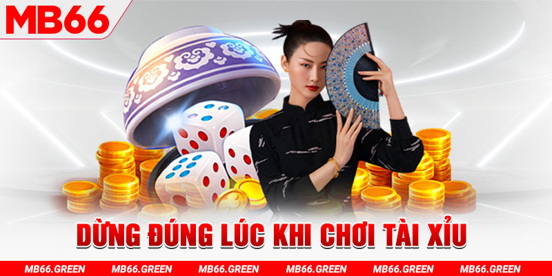 Dừng đúng lúc khi chơi tài xỉu